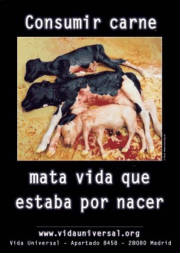 por_nacer.jpg