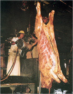 matadero1.jpg
