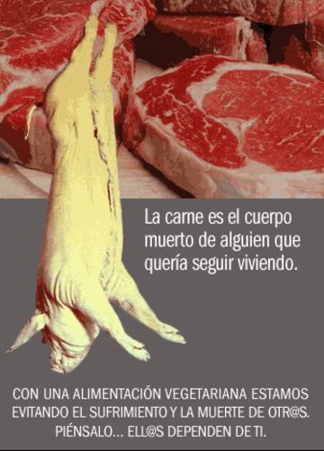 vegetariano.jpg